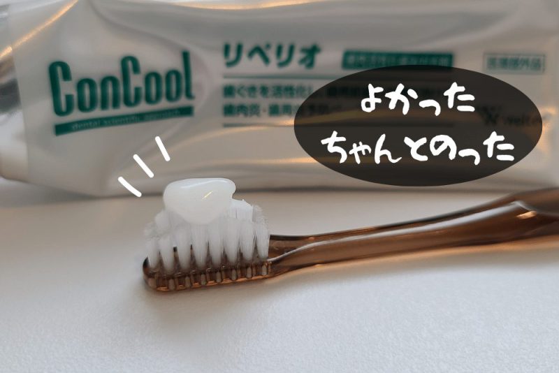 kisekino-toothbrush-reviews